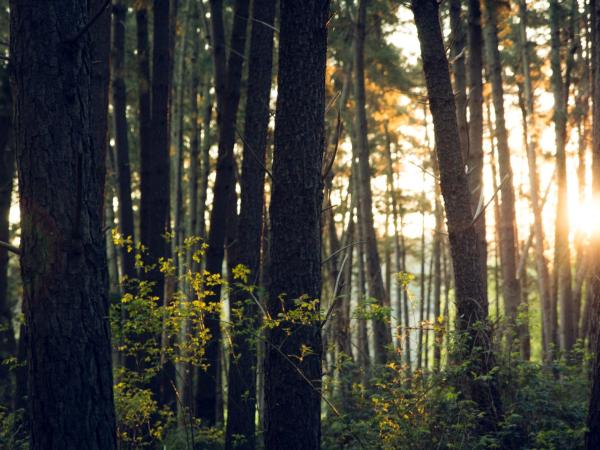 Overview of the Environment Act 2021