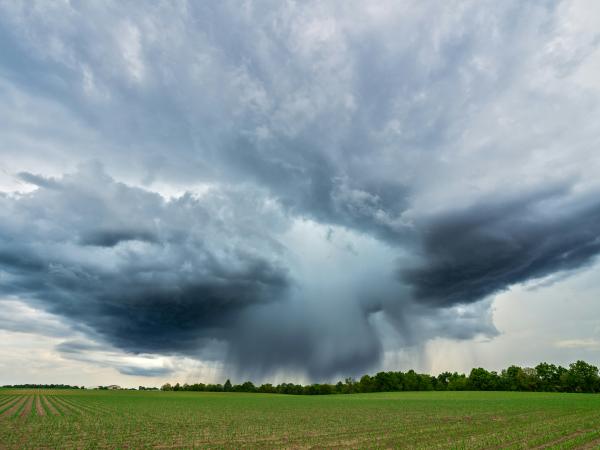 Overview of the Environmental Protection Act 1990